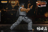 Storm Collectibles Akira Yuki 1/12 Scale Figure from Virtua Fighter 5