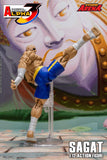 Storm Arena Sagat from Street Fighter Alpha 3