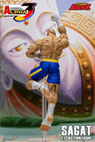 Storm Arena Sagat from Street Fighter Alpha 3