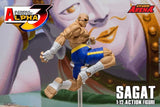 Storm Arena Sagat from Street Fighter Alpha 3