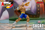 Storm Arena Sagat from Street Fighter Alpha 3