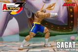 Storm Arena Sagat from Street Fighter Alpha 3