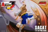 Storm Arena Sagat from Street Fighter Alpha 3