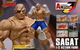 Storm Arena Sagat from Street Fighter Alpha 3