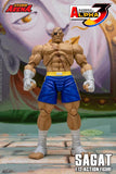 Storm Arena Sagat from Street Fighter Alpha 3