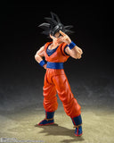 S.H. Figuarts Dragon Ball Z Son Goku (Kind-hearted Saiyan)