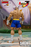 Storm Arena Sagat from Street Fighter Alpha 3