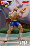 Storm Arena Sagat from Street Fighter Alpha 3
