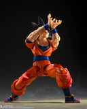 S.H. Figuarts Dragon Ball Z Son Goku (Kind-hearted Saiyan)