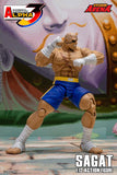 Storm Arena Sagat from Street Fighter Alpha 3