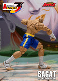 Storm Arena Sagat from Street Fighter Alpha 3