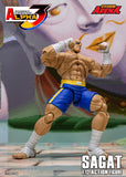 Storm Arena Sagat from Street Fighter Alpha 3