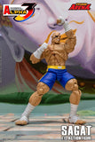 Storm Arena Sagat from Street Fighter Alpha 3