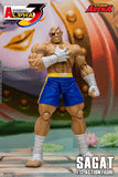 Storm Arena Sagat from Street Fighter Alpha 3