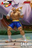 Storm Arena Sagat from Street Fighter Alpha 3