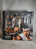 Storm Collectibles Akira Yuki 1/12 Scale Figure from Virtua Fighter 5